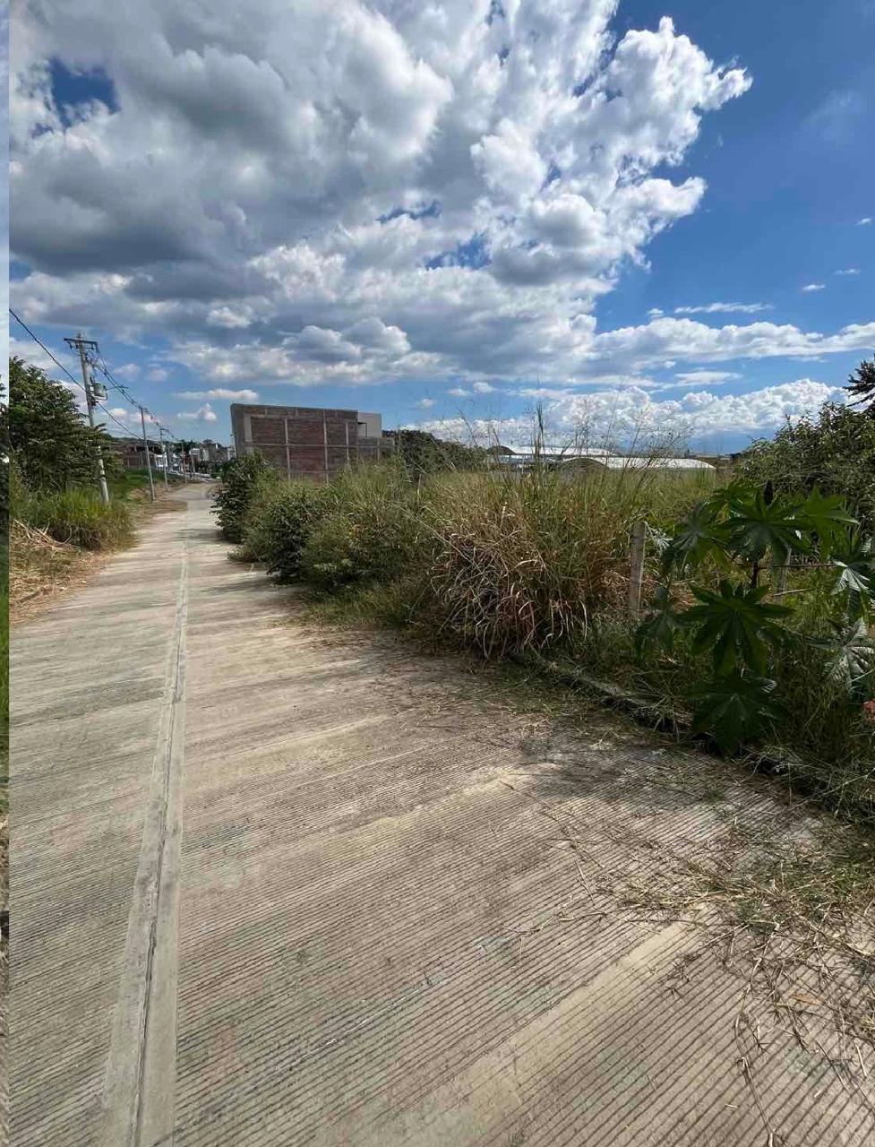 venta de lote en Tuluá valle barrio urbanización Palermo - Imagen 3