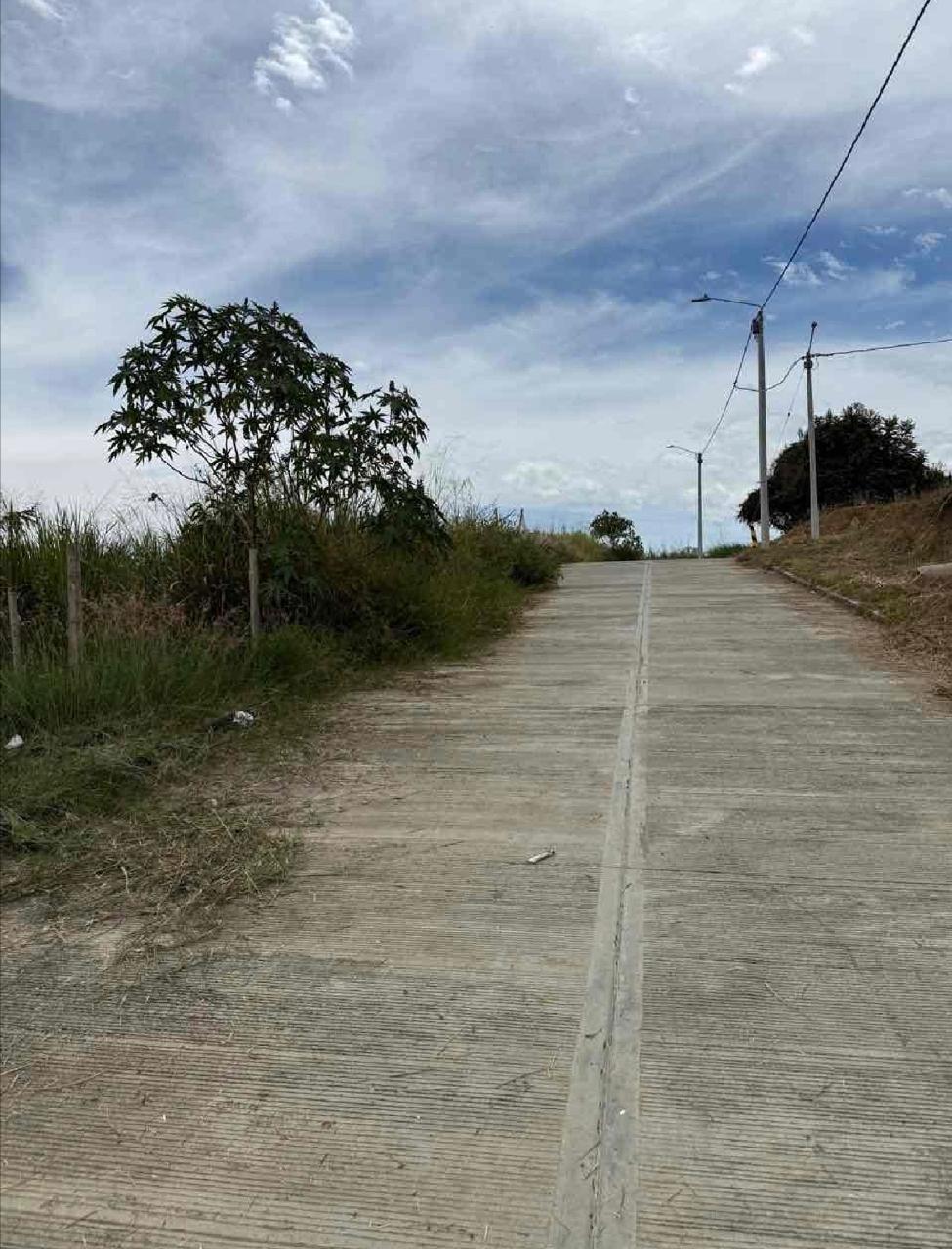 venta de lote en Tuluá valle barrio urbanización Palermo - Imagen 6