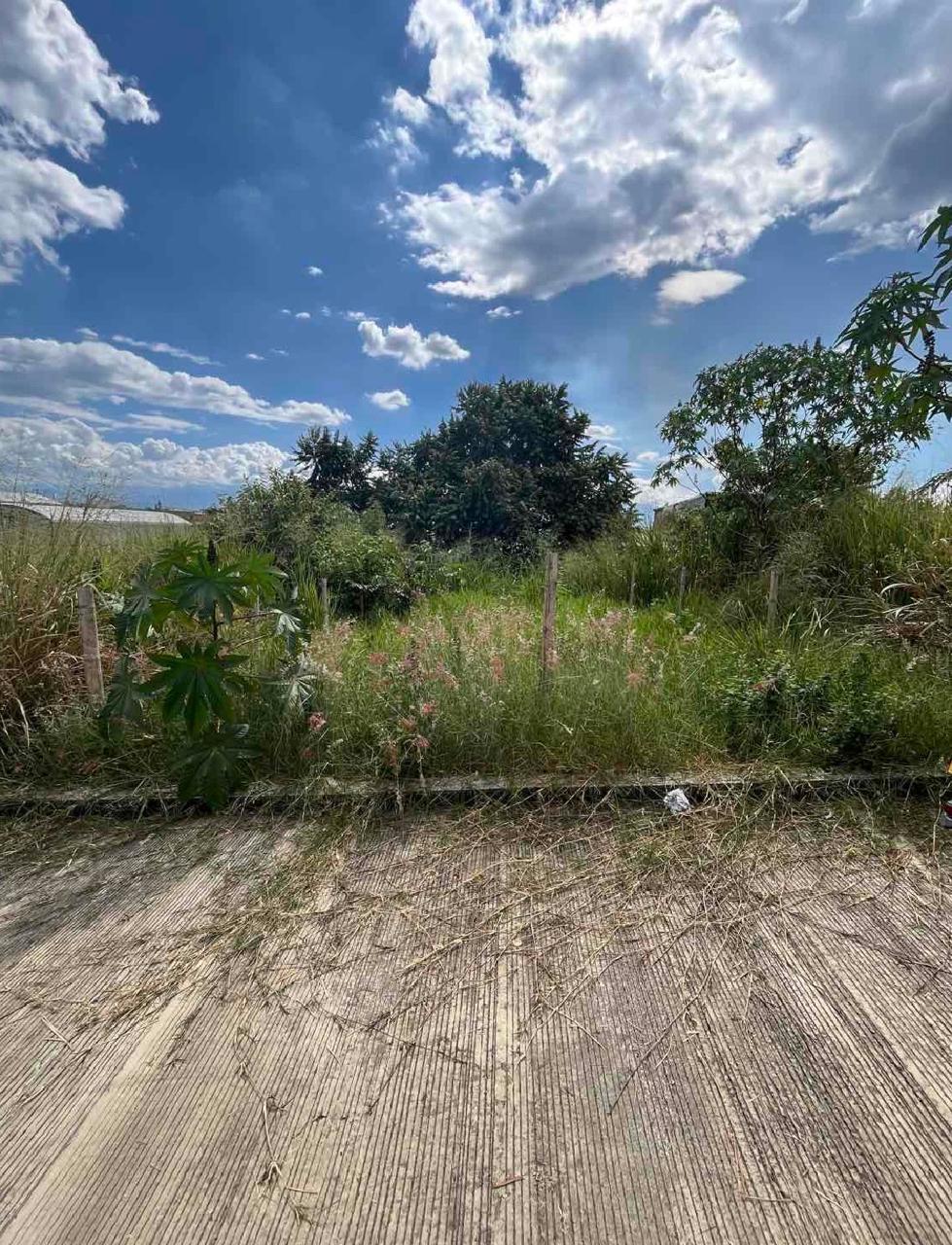 venta de lote en Tuluá valle barrio urbanización Palermo - Imagen 7
